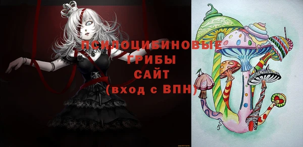 apvp Балахна