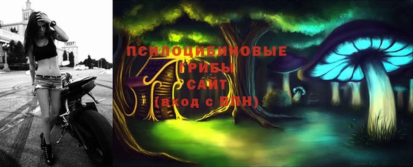прущие крисы Аркадак
